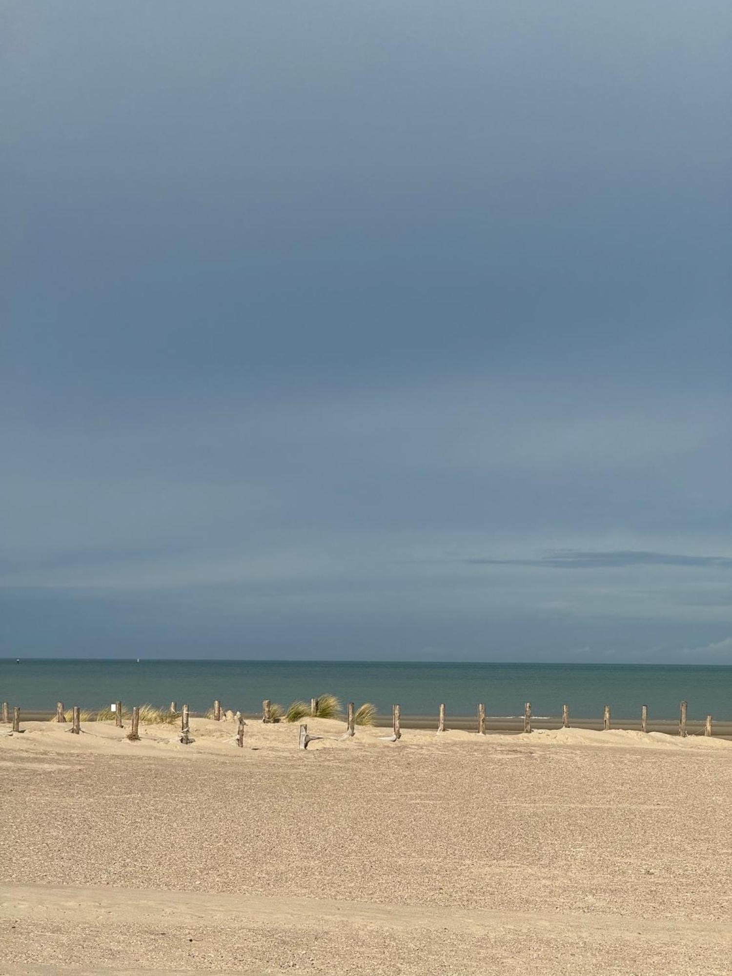 Maison Belle Rade : La Balise *